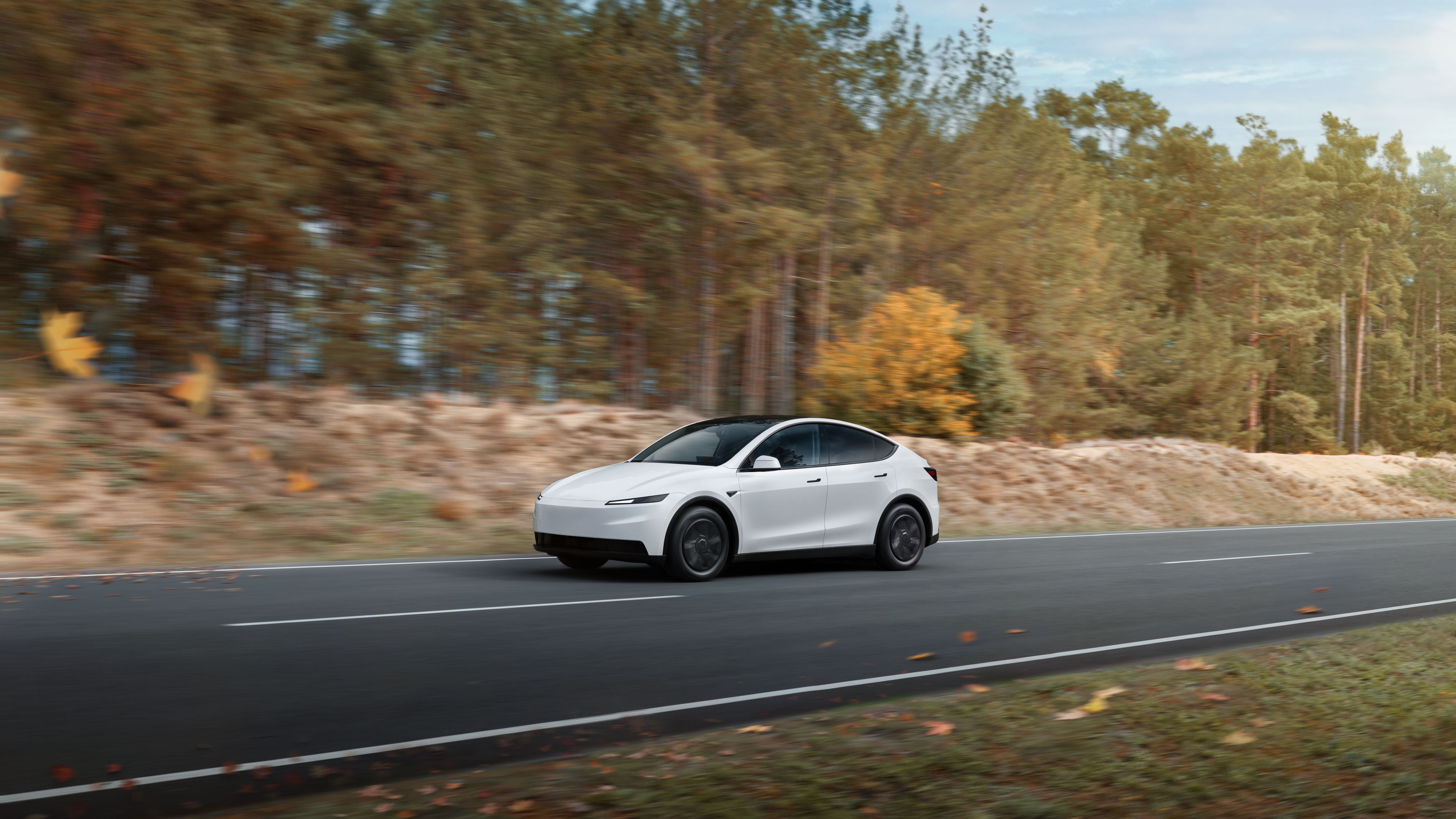 Tesla Model Y 2026 — Immagine indicativa
